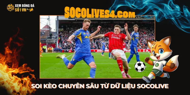 Soi kèo chuyên sâu từ dữ liệu Socolive